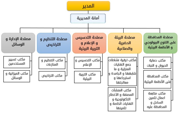 المخطط التنظيمي لمديرية البيئة لولاية جيجل
